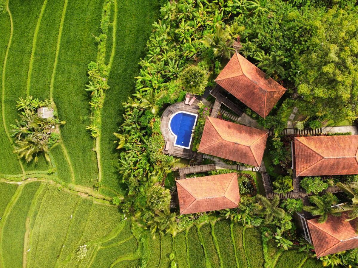 Barong Villas Sidemen  Dış mekan fotoğraf