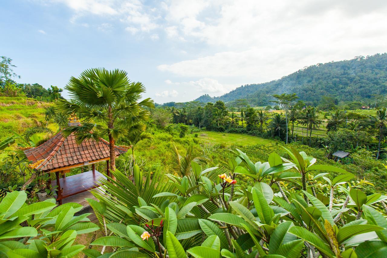 Barong Villas Sidemen  Dış mekan fotoğraf