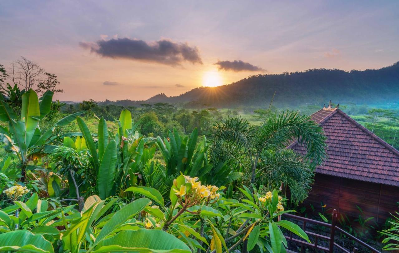Barong Villas Sidemen  Dış mekan fotoğraf