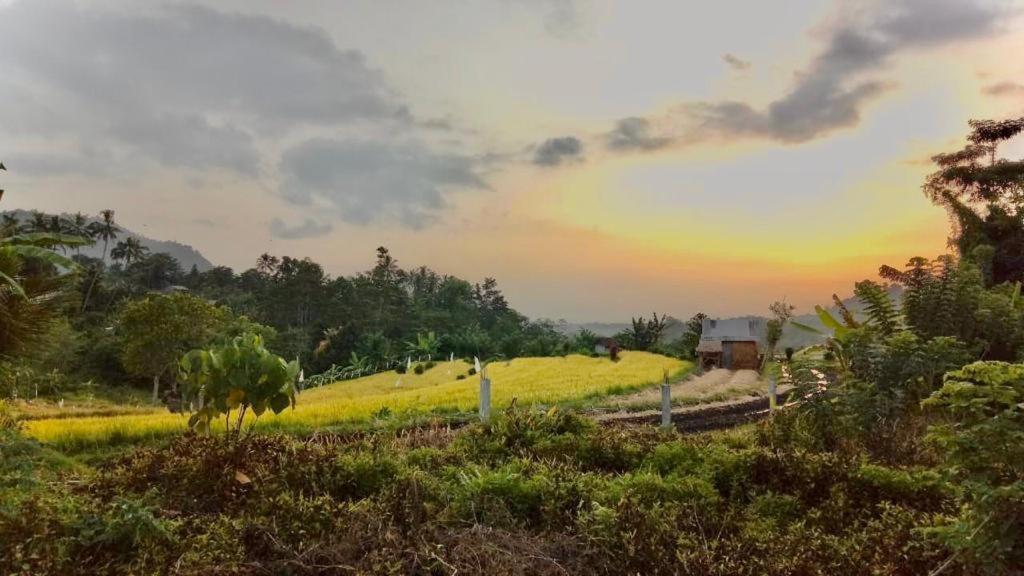 Barong Villas Sidemen  Dış mekan fotoğraf